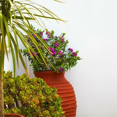 A Casa D'irene Holiday home *